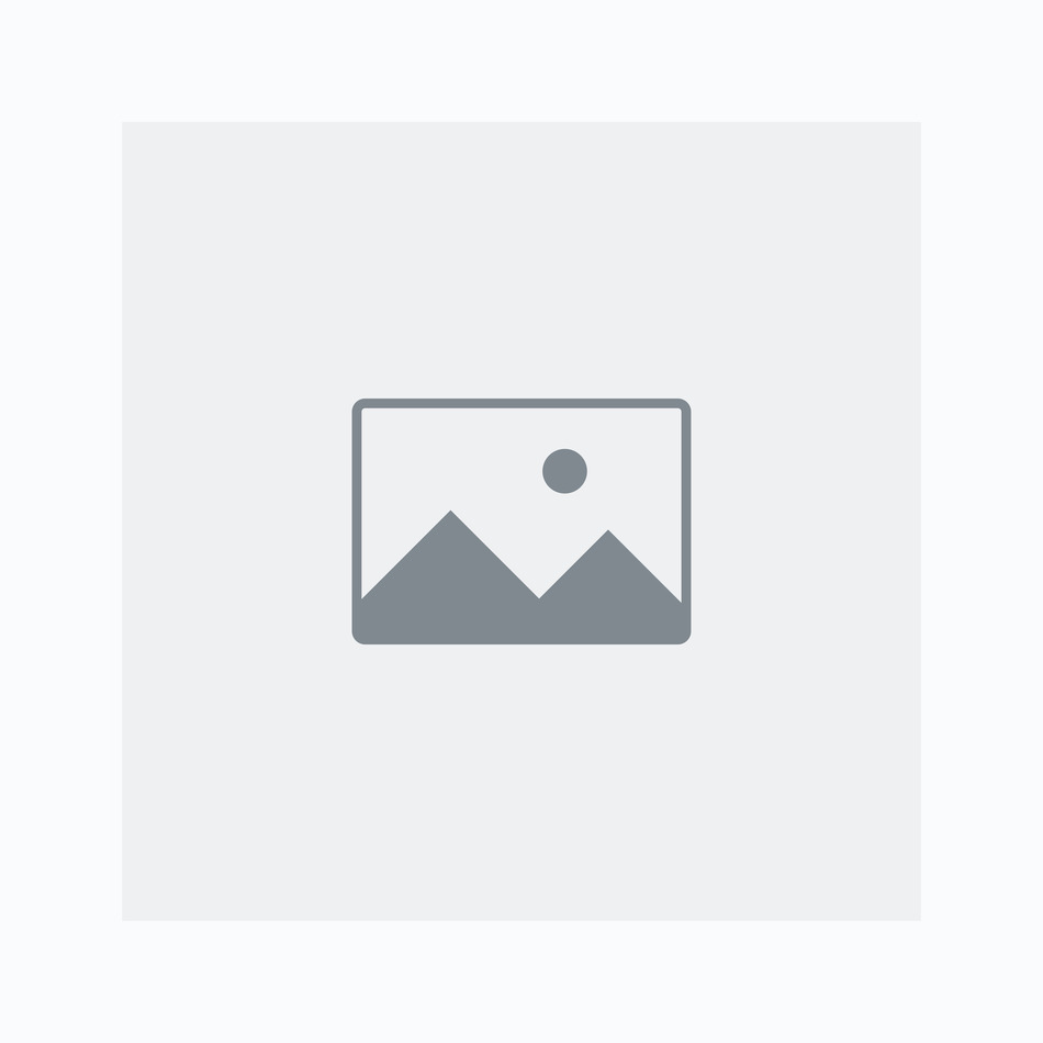 Ankö Logo Branding