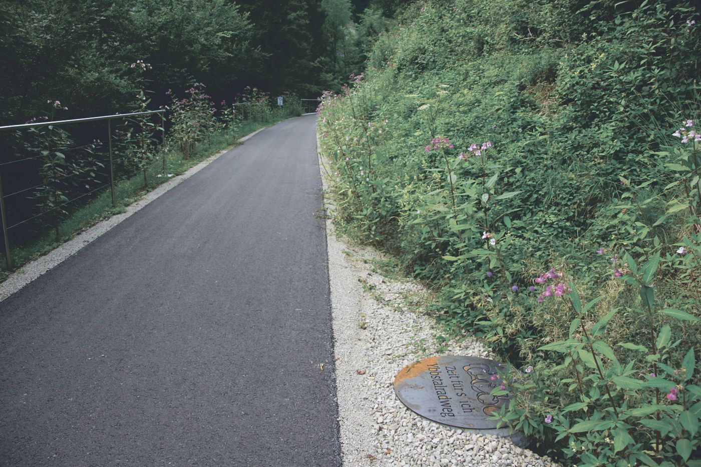 Einseitig umzäunte Straße durch einen Wald